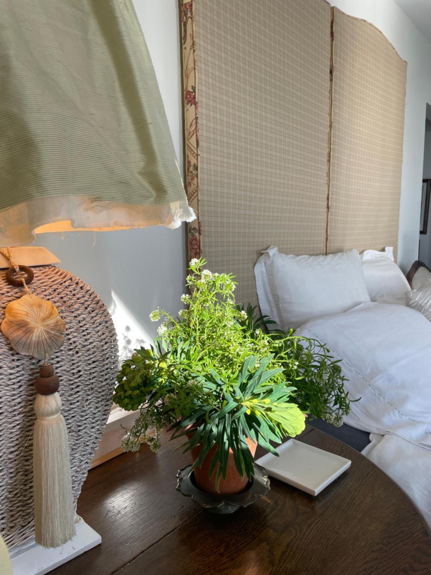 Bed and Breakfast 340 Deg Alps & Sea Christchurch Exterior foto